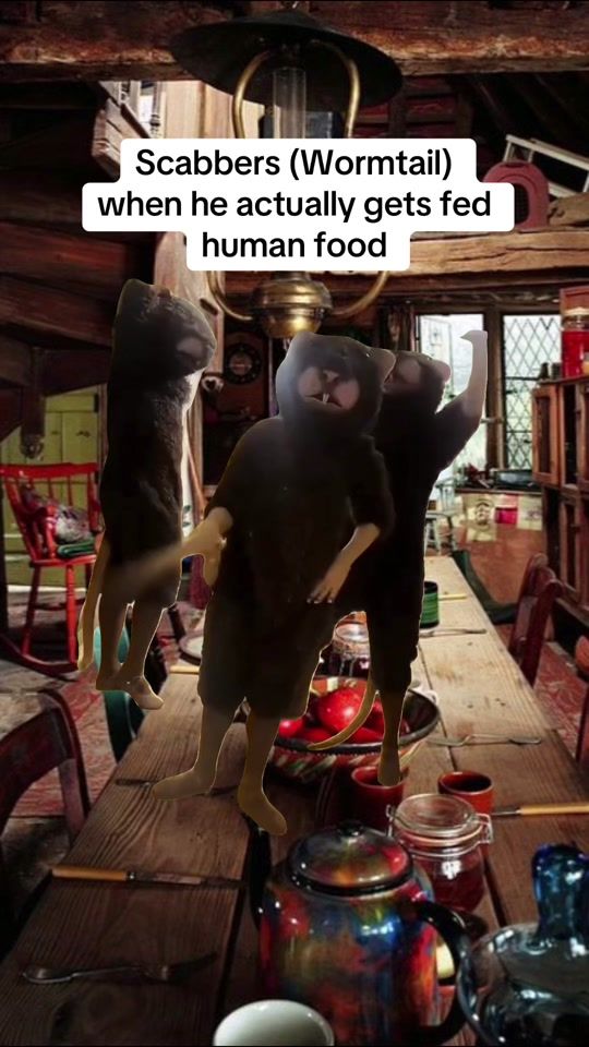TikTok video thumbnail by turbulentkid