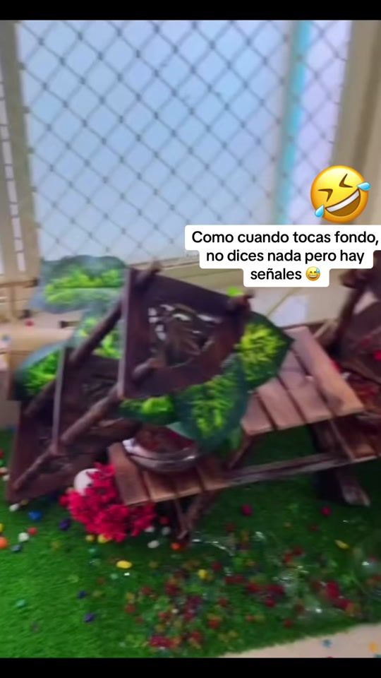 TikTok video thumbnail by memepets_