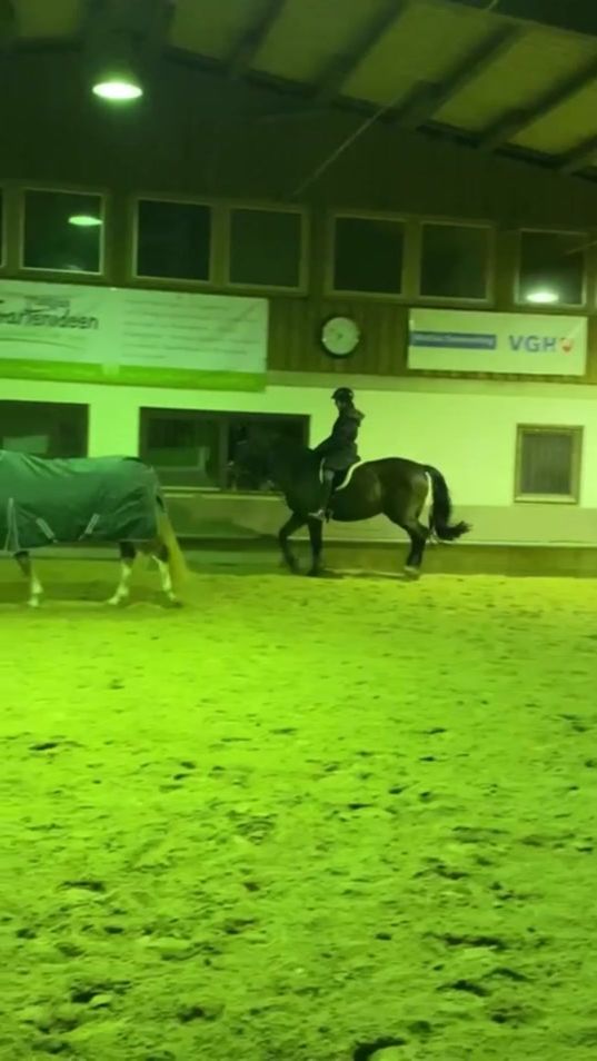 TikTok video thumbnail by herzensponyriver