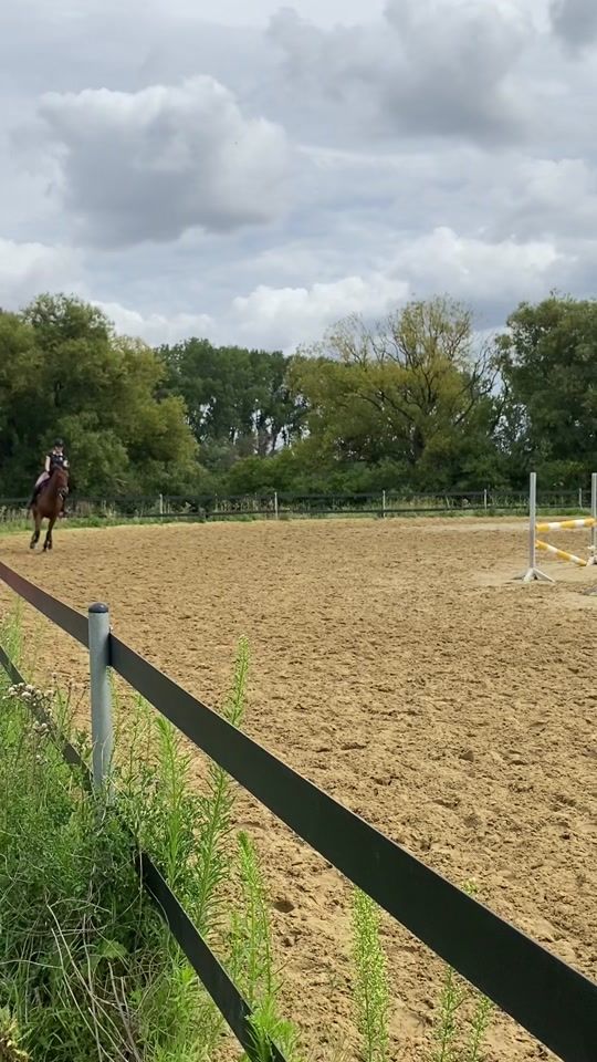 TikTok video thumbnail by lxna_horsegirl