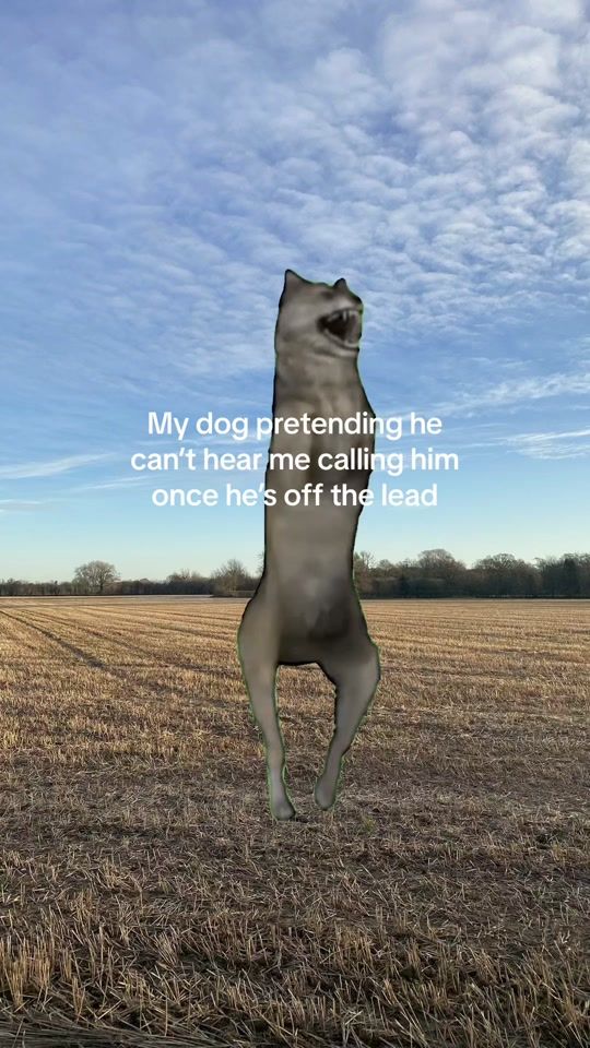 TikTok video thumbnail by petrebellion