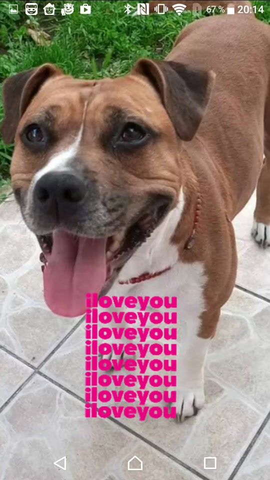 TikTok video thumbnail by jenie3558