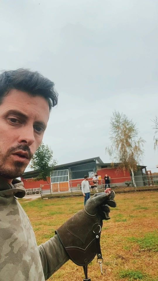 TikTok video thumbnail by besso.erik