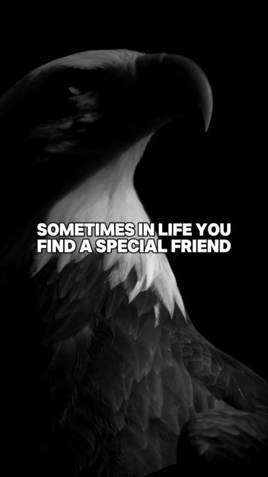 TikTok video thumbnail by life.changes8