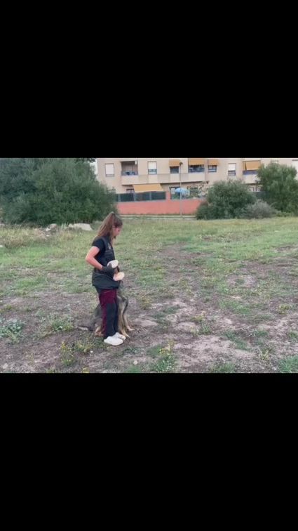 TikTok video thumbnail by manuelablancovargas