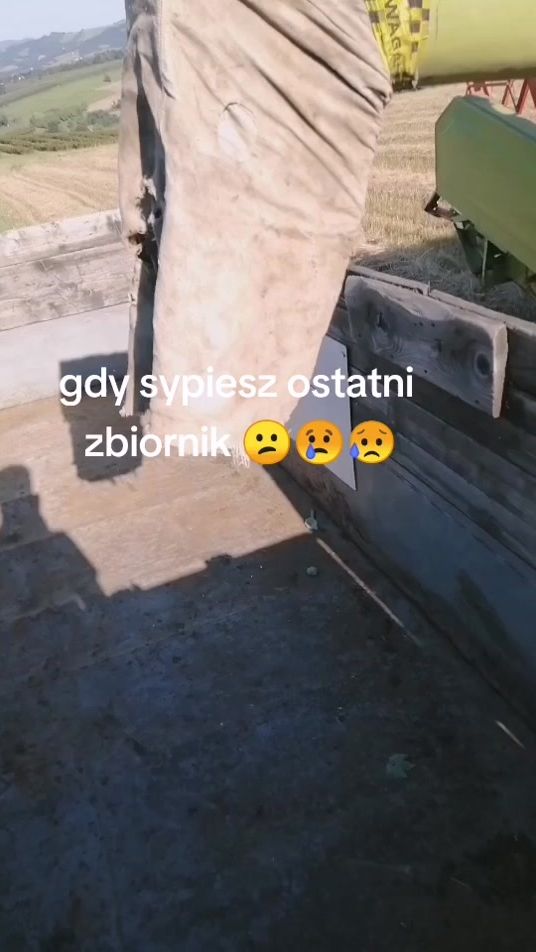TikTok video thumbnail by agro_sebixteam
