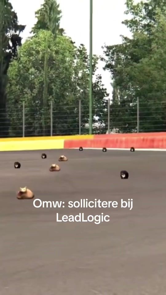 TikTok video thumbnail by leadlogic_aangenaam
