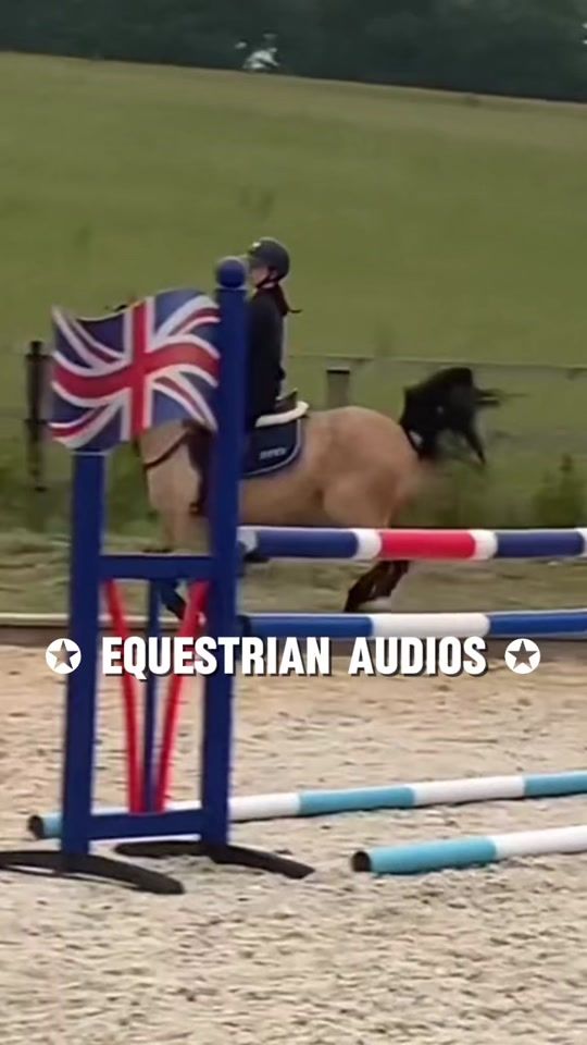TikTok video thumbnail by equestrianaudio.s