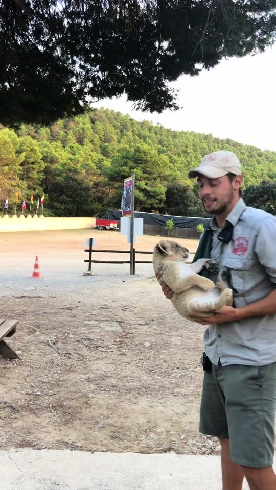 TikTok video thumbnail by safariaitana