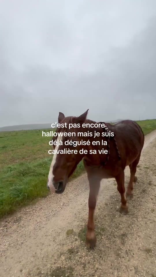 TikTok video thumbnail by stef.et..ses.poneys
