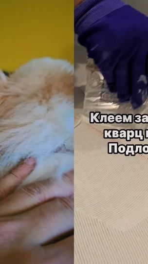 TikTok video thumbnail by fenix_selo