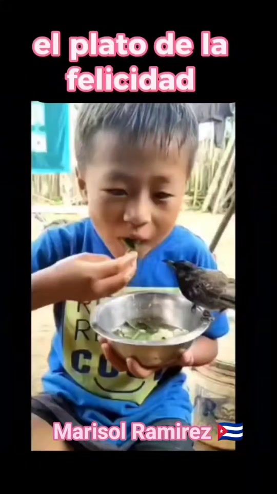 TikTok video thumbnail by marisolrc13