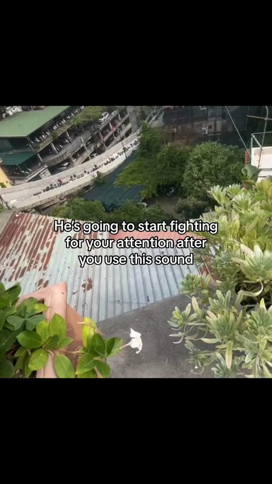 TikTok video thumbnail by claim.benifit