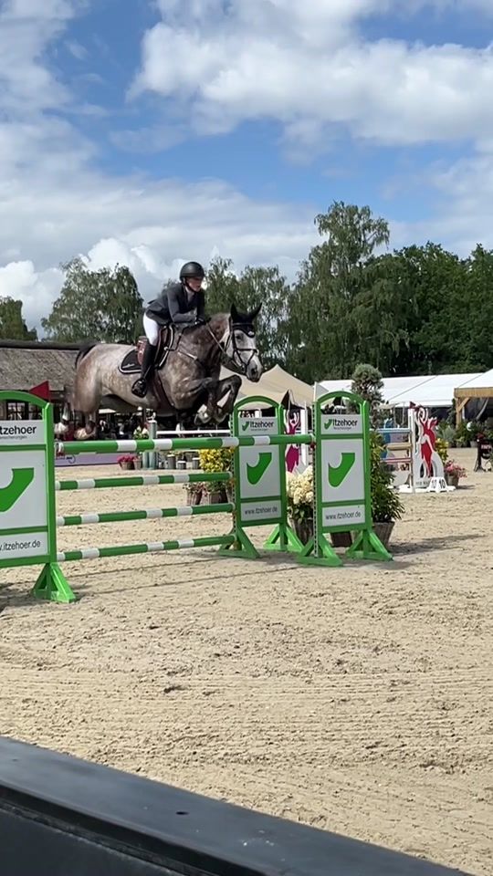 TikTok video thumbnail by equestrianvideosx