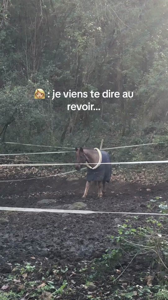 TikTok video thumbnail by gonette.de.liaf