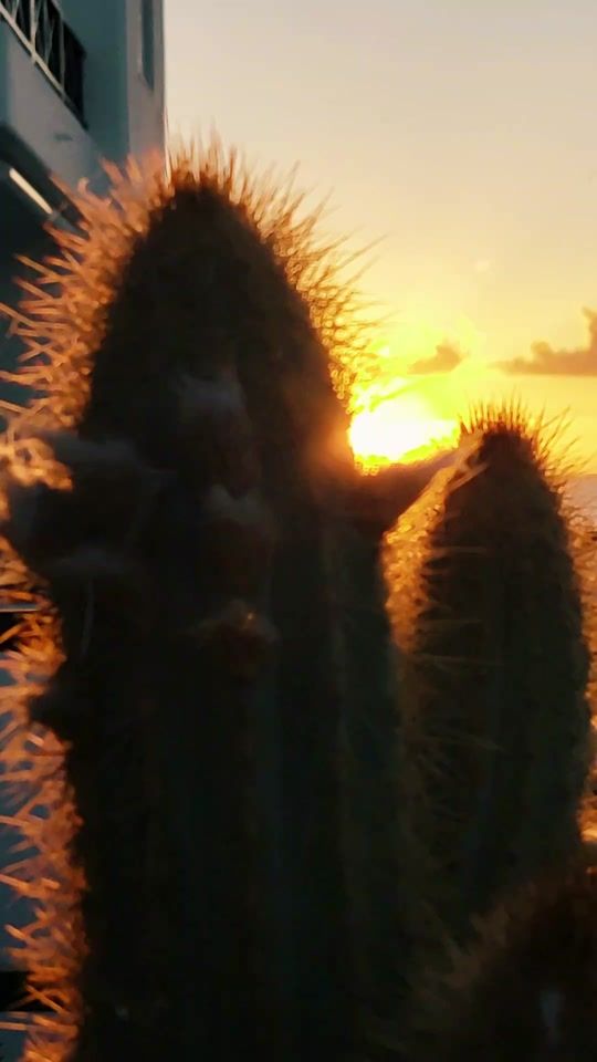 TikTok video thumbnail by mimundott