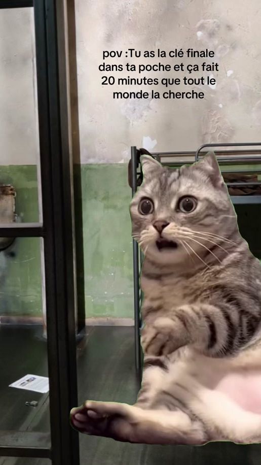 TikTok video thumbnail by lockedupescape