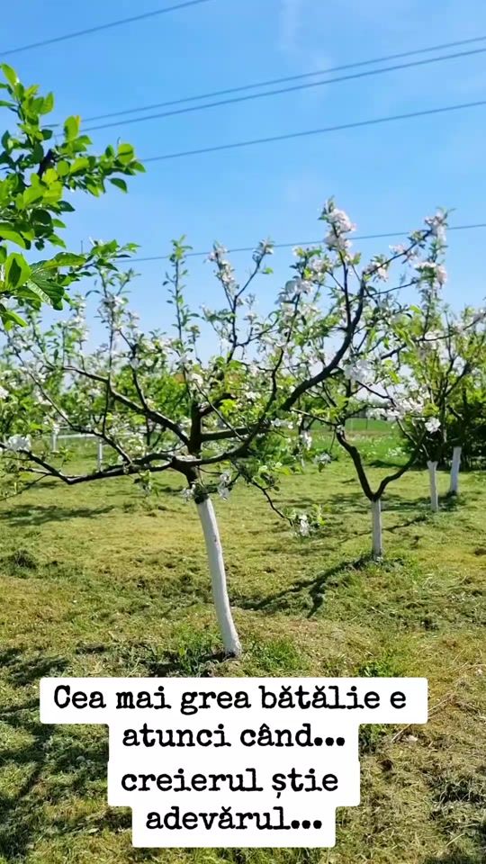 TikTok video thumbnail by anamaria.ana0710