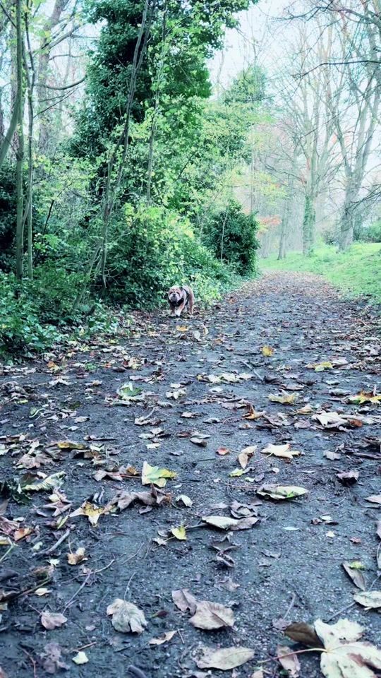 TikTok video thumbnail by pabs_dols