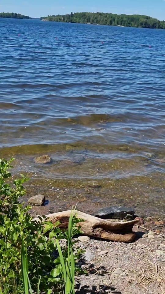 TikTok video thumbnail by averdade_liberta2