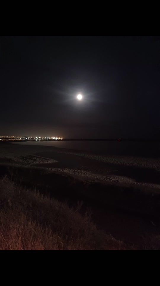 TikTok video thumbnail by ziorox