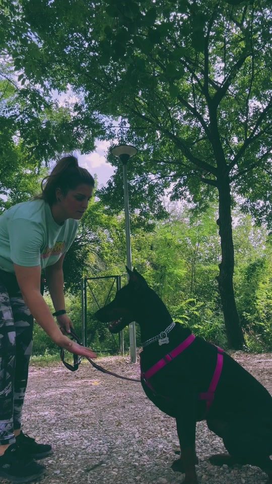 TikTok video thumbnail by _..nikta.._