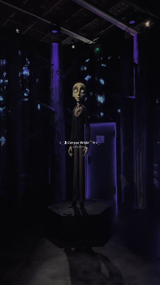 TikTok video thumbnail by feysdiiary