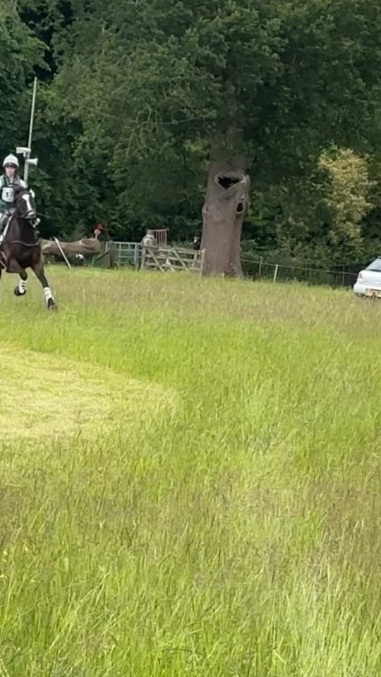 TikTok video thumbnail by beth_hobden_eventing