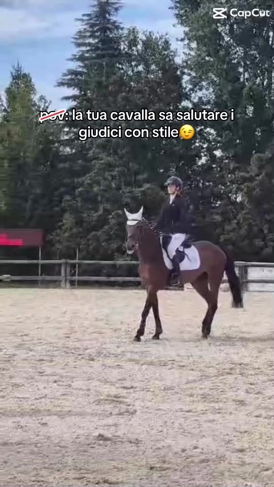 TikTok video thumbnail by margheritabava.hr