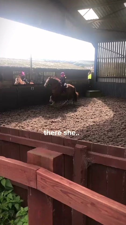 TikTok video thumbnail by gracie_and_pig
