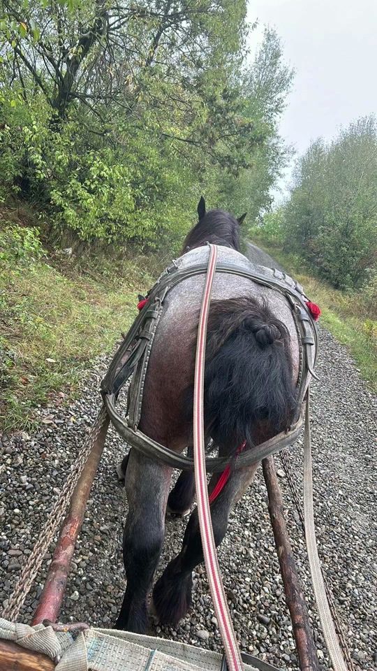 TikTok video thumbnail by airineipavel