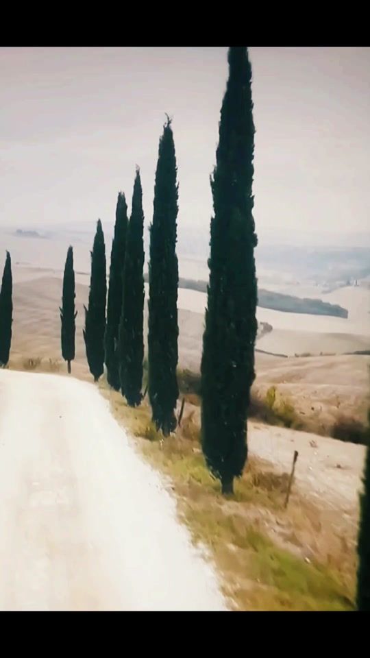 TikTok video thumbnail by lpix93