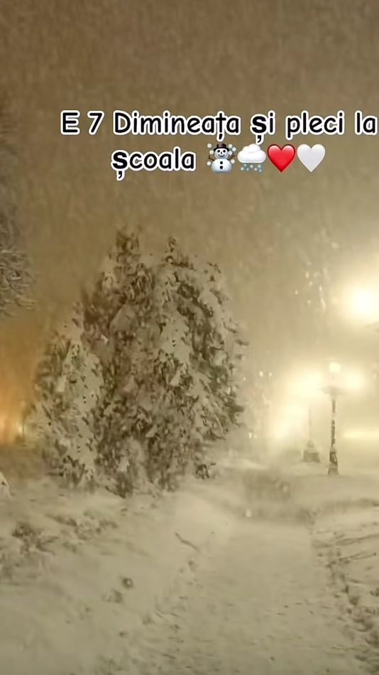TikTok video thumbnail by craciunul.magic.18