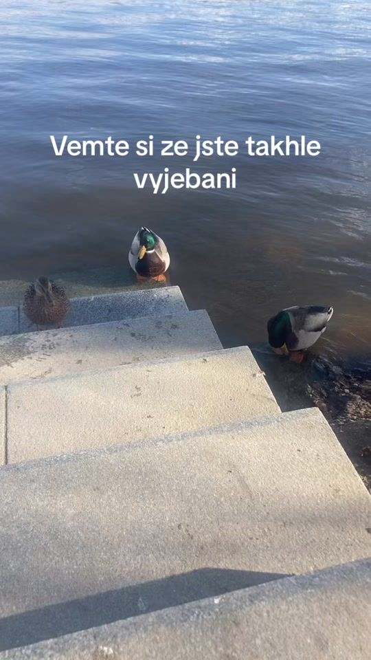 TikTok video thumbnail by ju4nswag