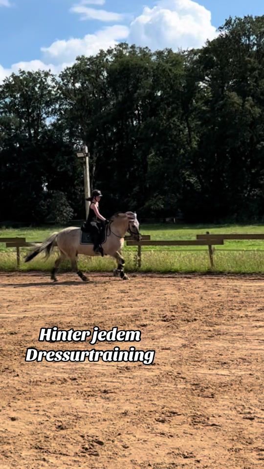 TikTok video thumbnail by ivette_kruusdellen