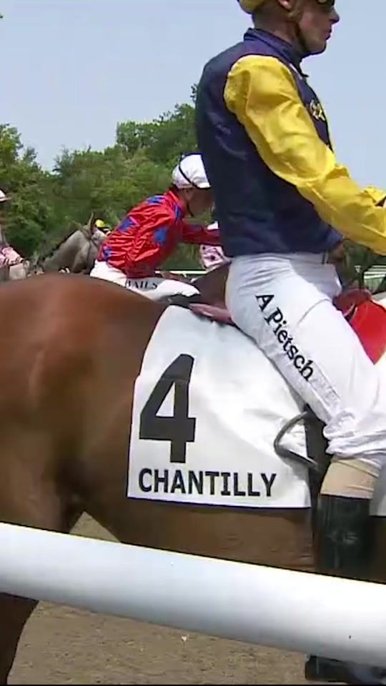 TikTok video thumbnail by equidia_tv