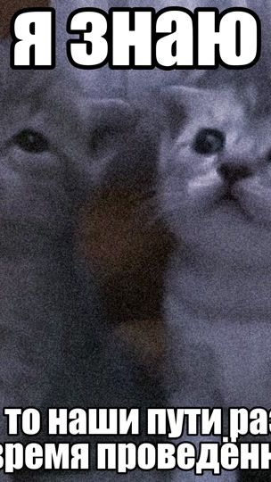 TikTok video thumbnail by dying.creator