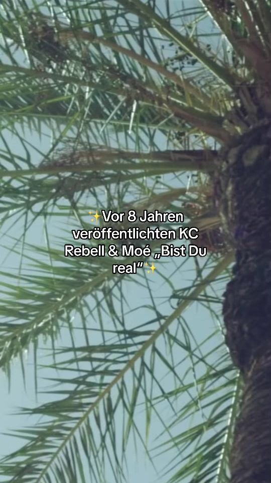 TikTok video thumbnail by klangkoenig