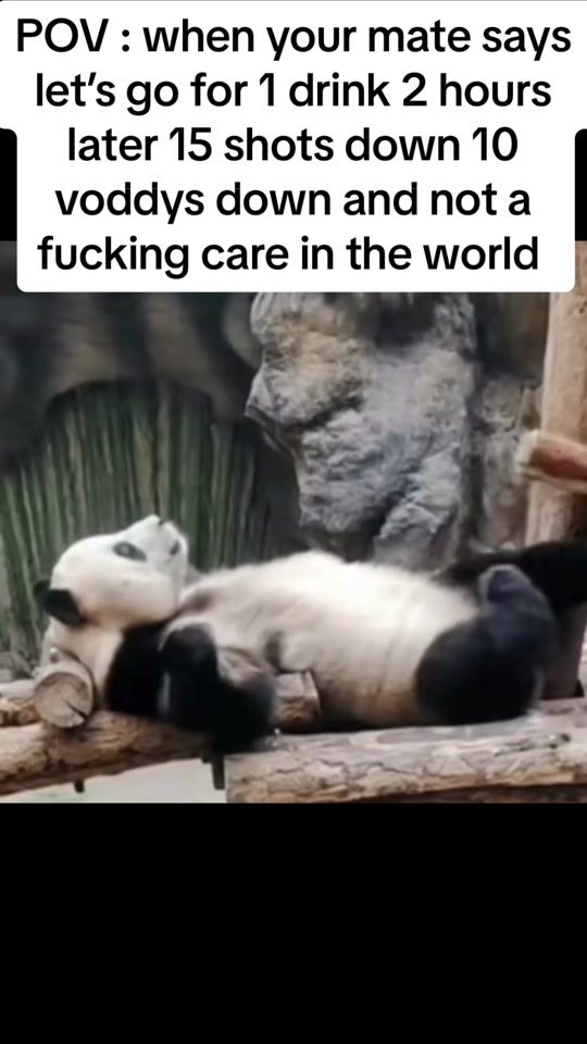 TikTok video thumbnail by shaunaharpz2002