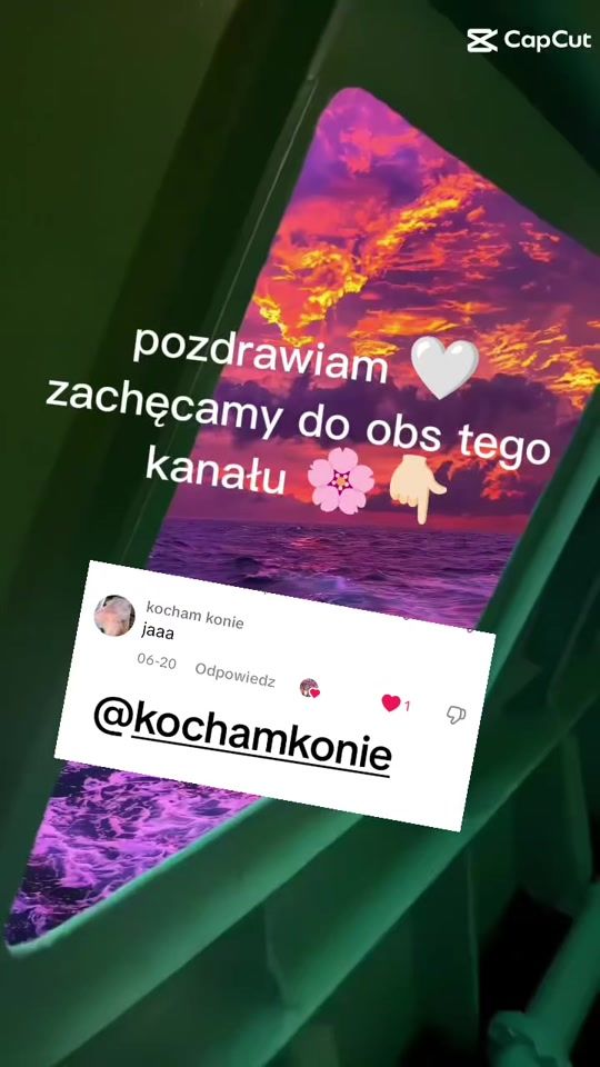 TikTok video thumbnail by fp.kali_