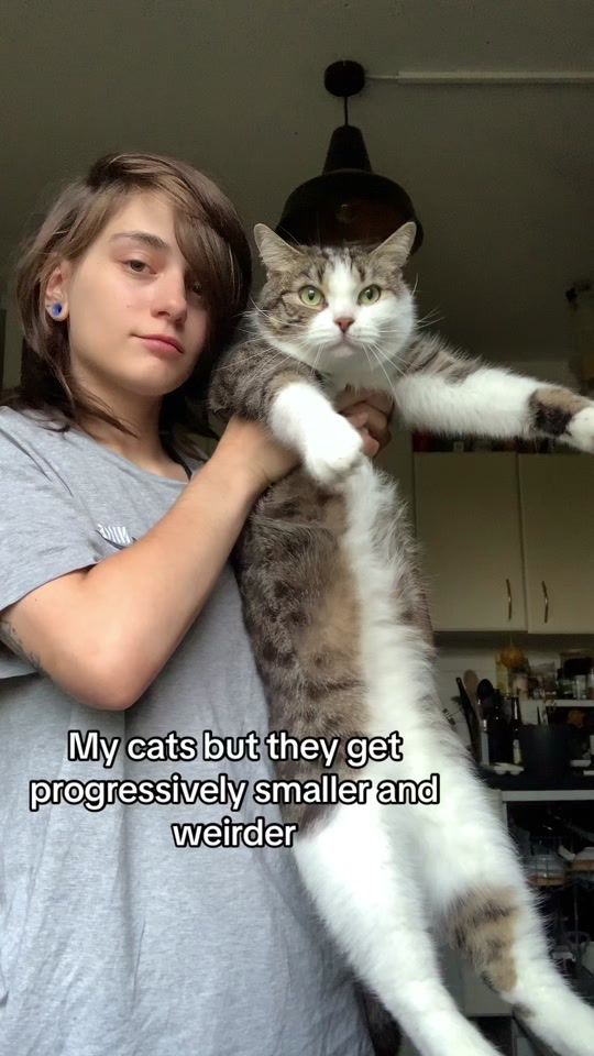 TikTok video thumbnail by thcinmyveins