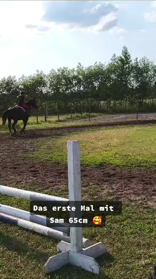 TikTok video thumbnail by skoda_doerte