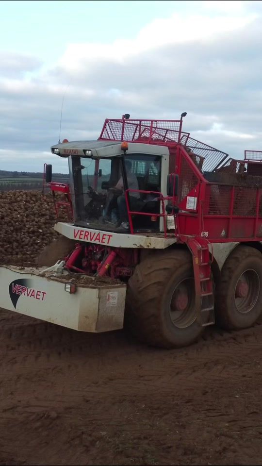 TikTok video thumbnail by bensheppard4220