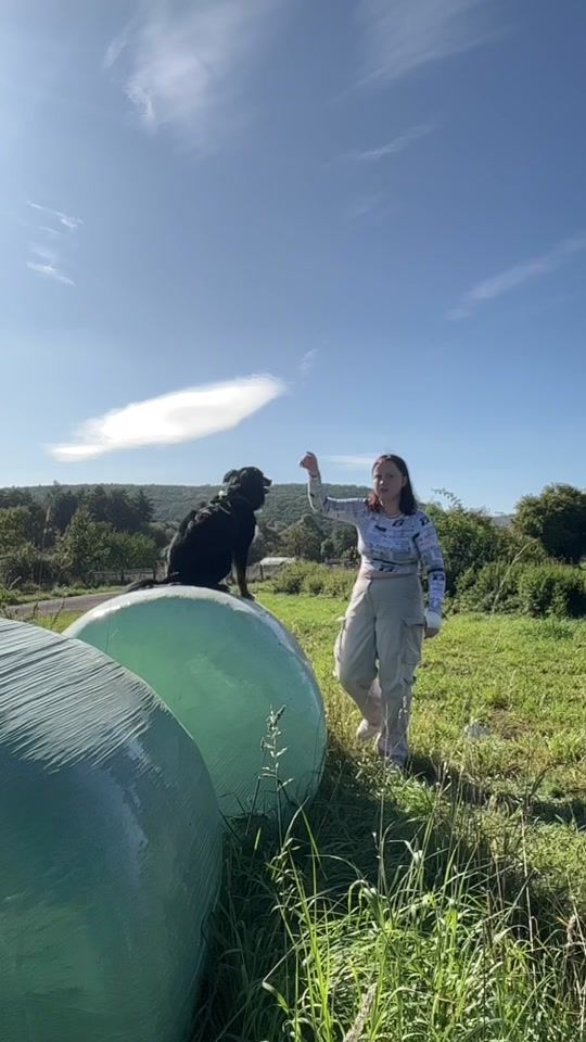 TikTok video thumbnail by minni.aussi.dvora