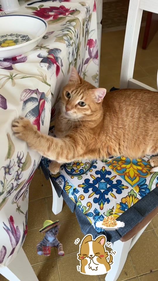 TikTok video thumbnail by viviguercio