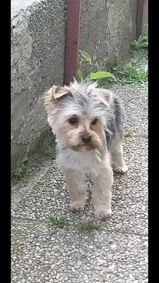 TikTok video thumbnail by heindlronald