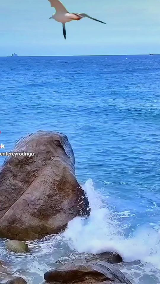 TikTok video thumbnail by vicentereyrodrigu
