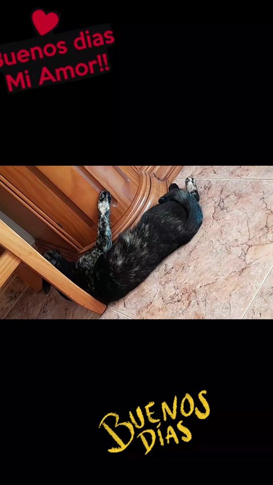 TikTok video thumbnail by burbuja1968