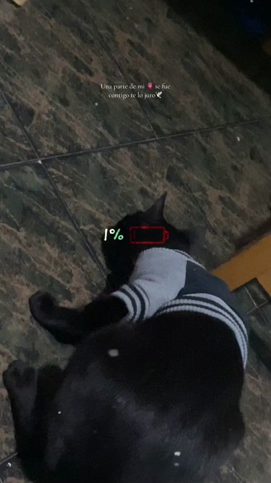 TikTok video thumbnail by .karen.17