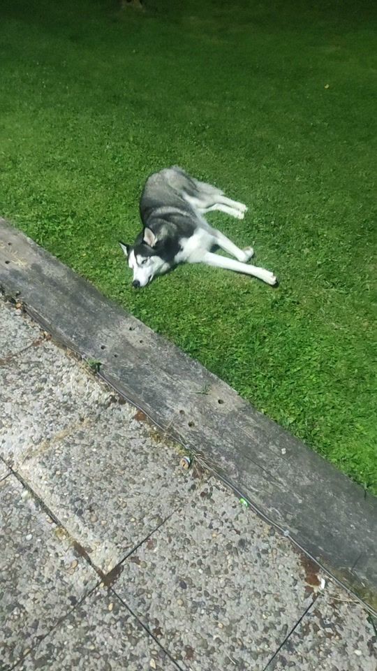 TikTok video thumbnail by 1974jbl